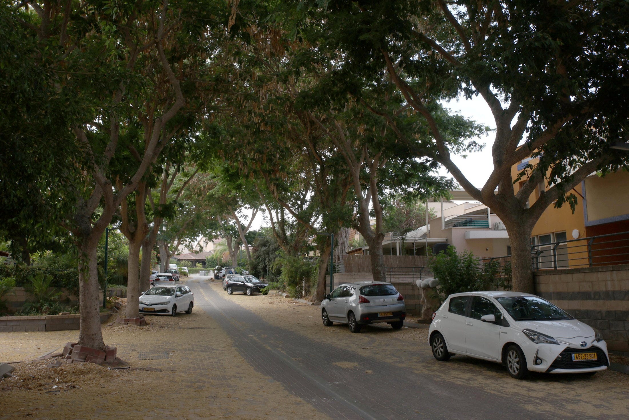 'People Here Like Ben-Gvir's Tough-guy Approach': Will This Netanyahu Stronghold Near Gaza Go Further Right?