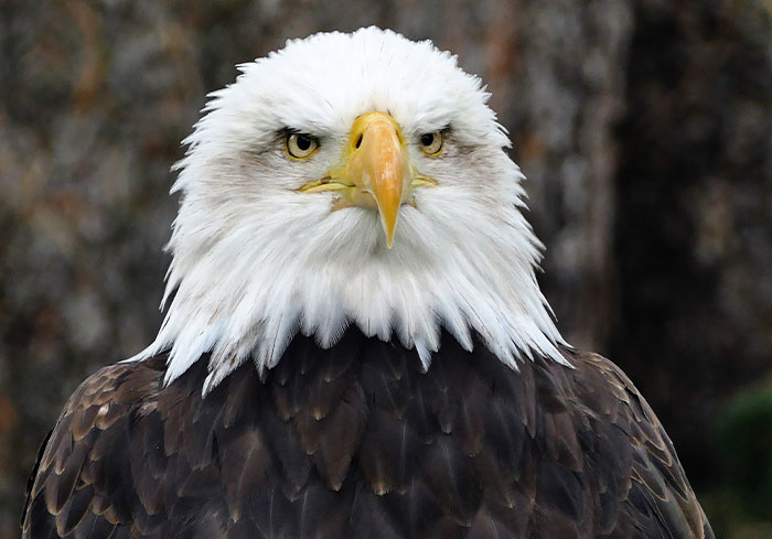 People Share 32 Fascinating Things They Didn’t Learn In School