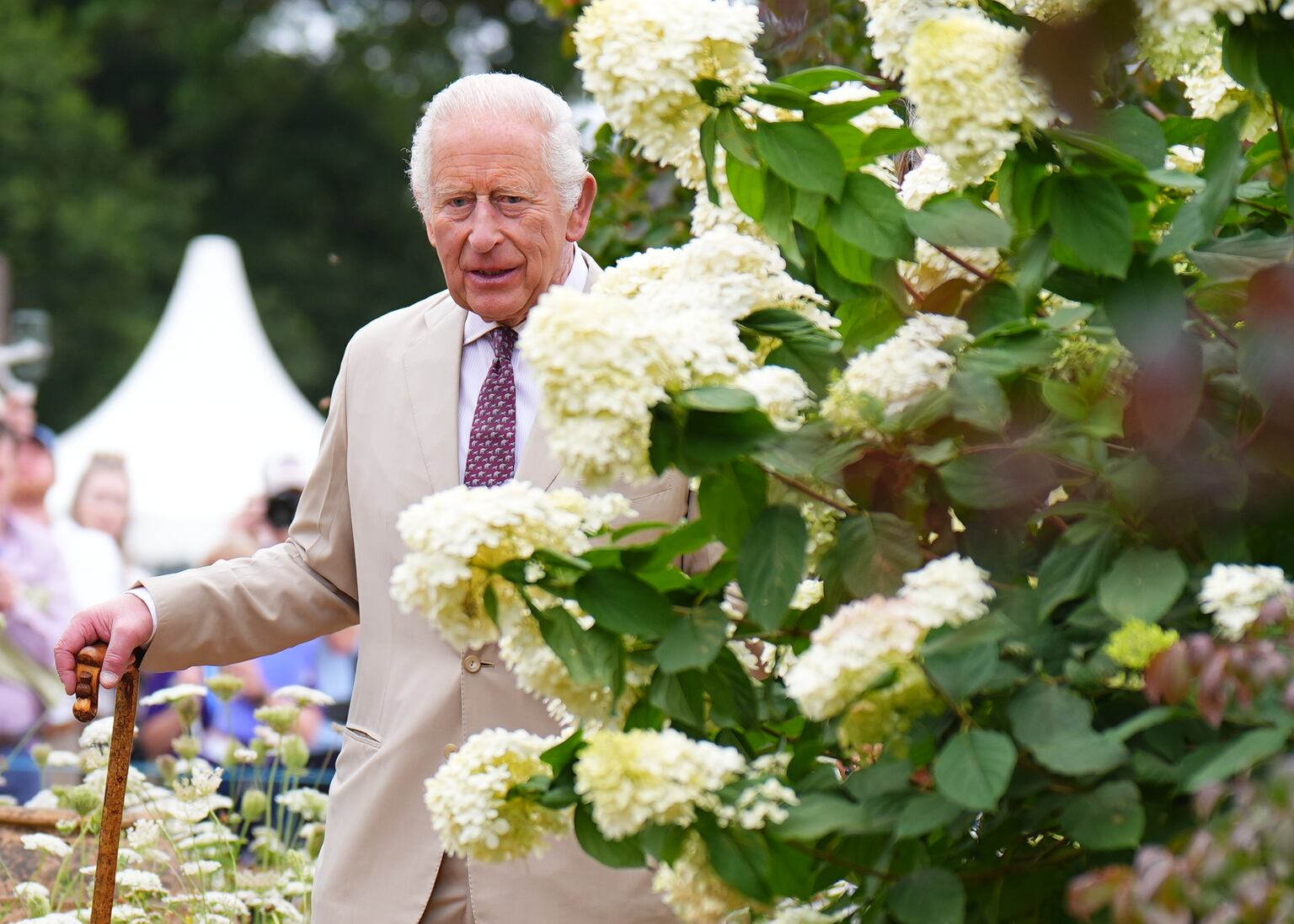 The King described the displays as ‘fantastic’