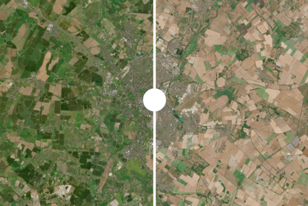 Before and after pictures reveal devastating impact of UK heatwaves