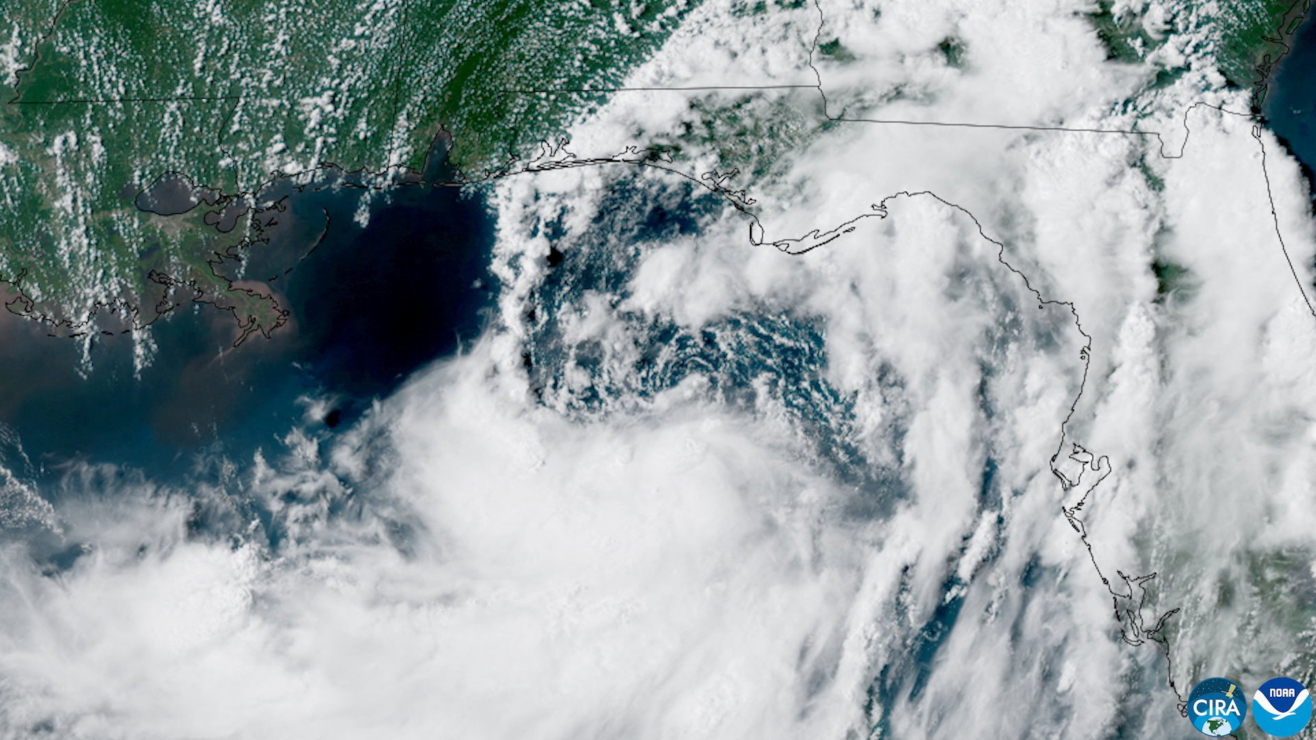 A satellite view of Tropical Storm Bertha forming over the eastern Gulf of Mexico near Florida