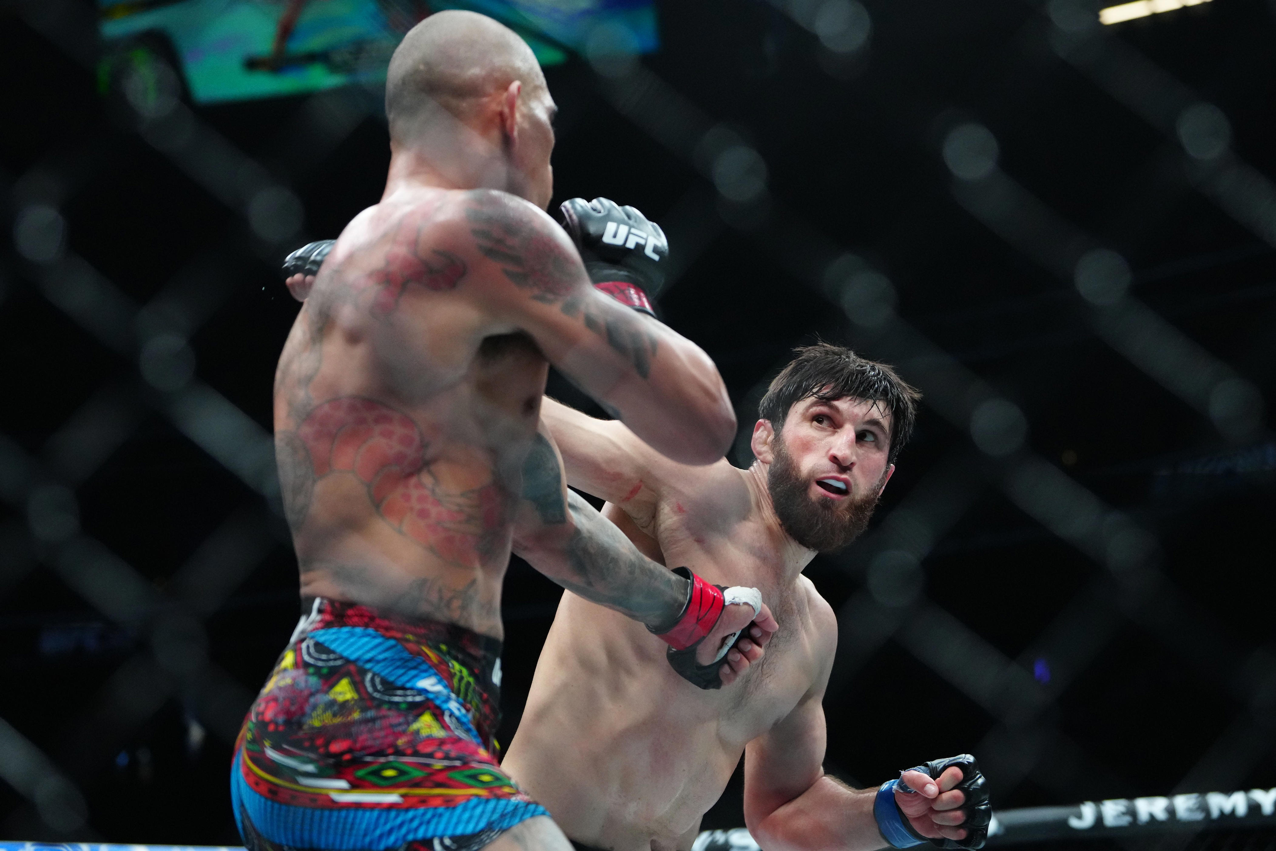 Alex Pereira (red gloves) fights Magomed Ankalaev (blue gloves) during UFC 313 at T-Mobile Arena.