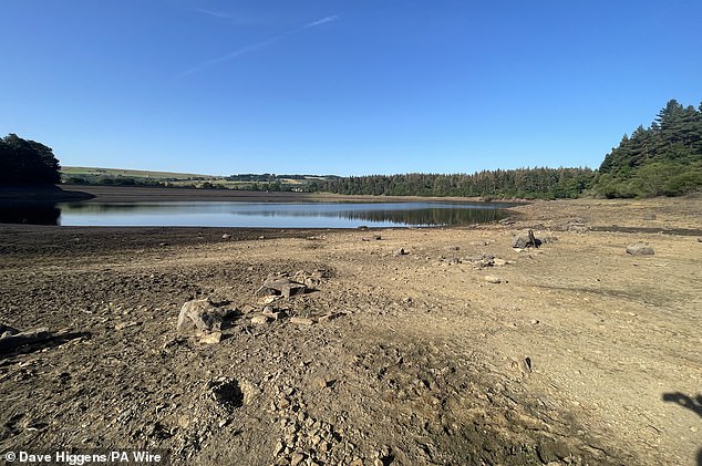 There are plans to build nine new reservoirs in Britain - but Water UK says these are unlikely to meet demand (pictured: Agden Reservoir in Yorkshire drying up last summer)
