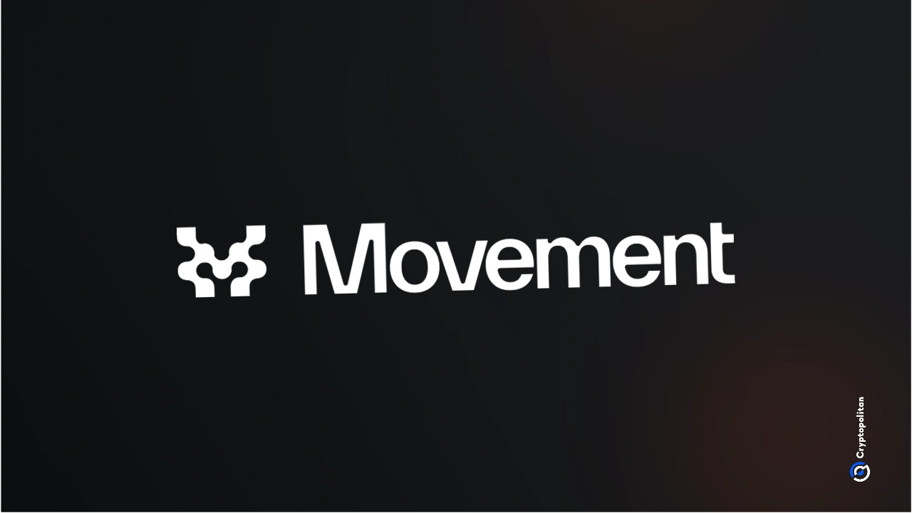 Movement Labs has officially filed for bankruptcy