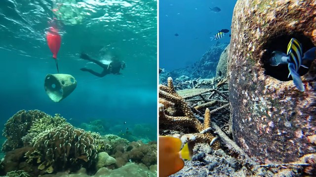 Indonesia tests 3 reef designs to see which one can help coral regrow on its own