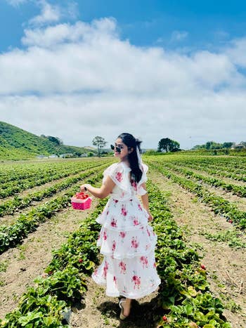 Woman in floral summer dress picks strawberries in a field under a blue sky