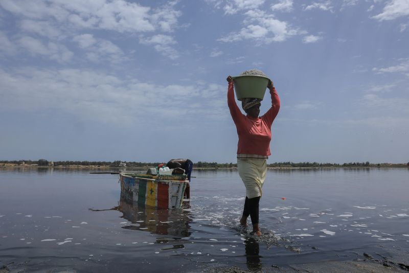 Salt workers return to Senegal's Pink Lake after years of disruption