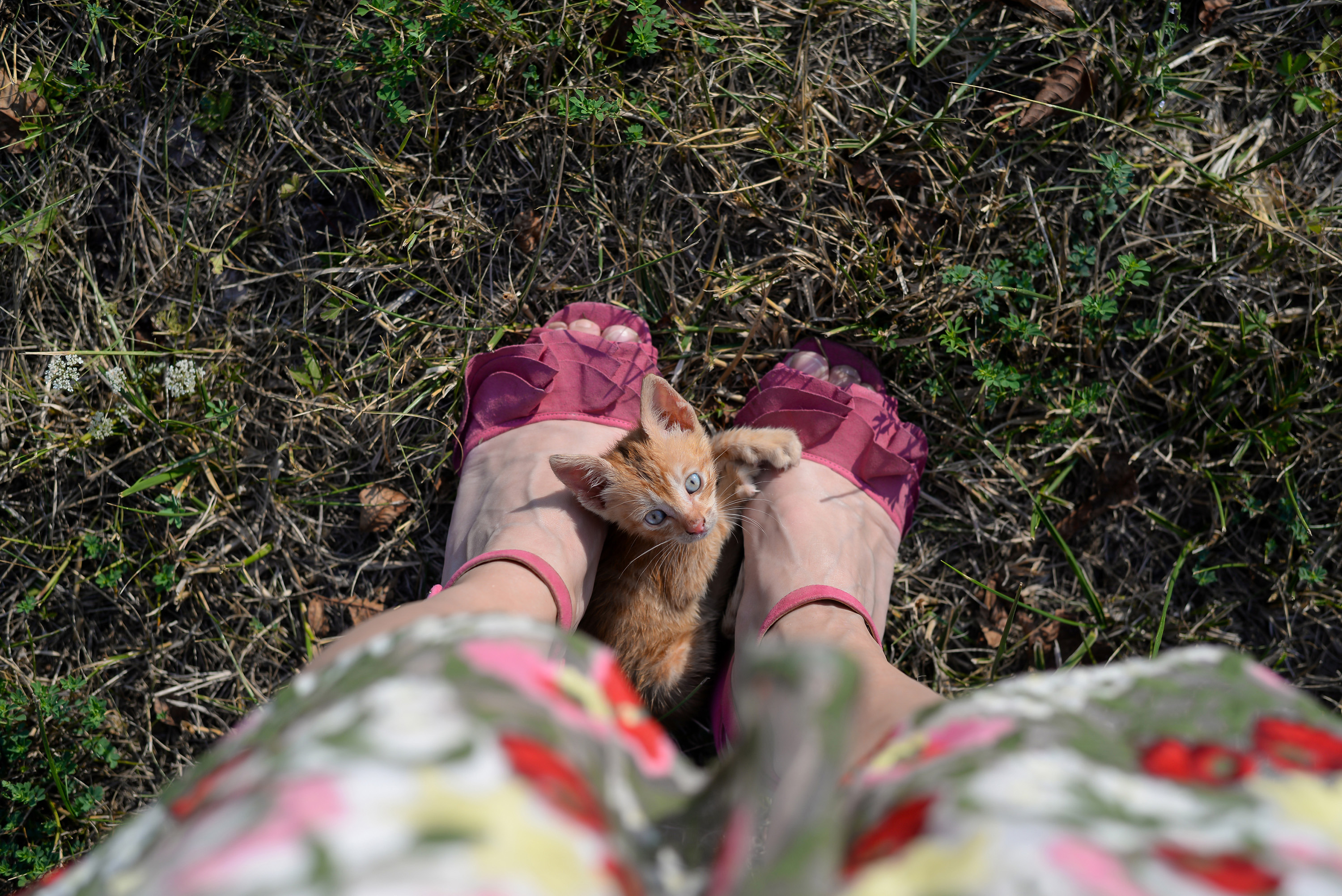 One of the safest ways to manage a friendly feral cat who likes to get in between your legs is to redirect the cat's attention before he or she reaches your feet, writes Cathy M. Rosenthal.