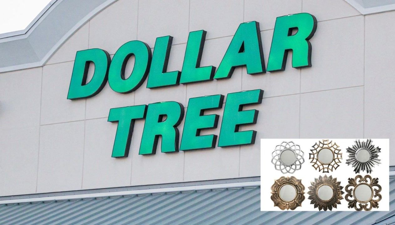 Get the Ann Patchett aesthetic at Dollar Tree for under $1.50