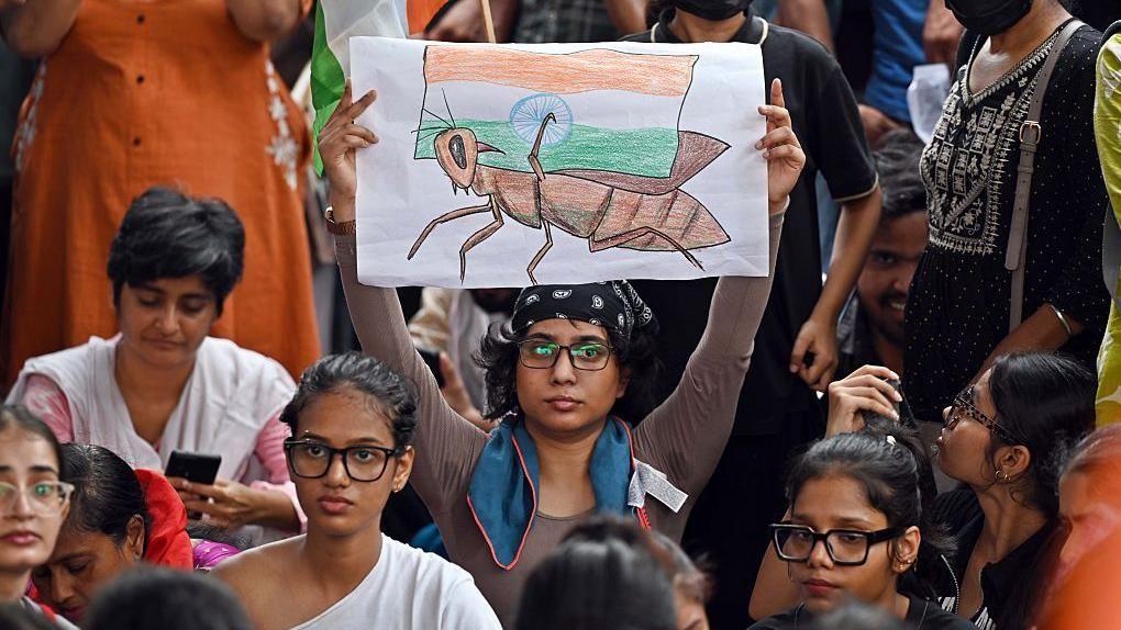 Pressure grows on India's Modi government as 'cockroach' protests intensify