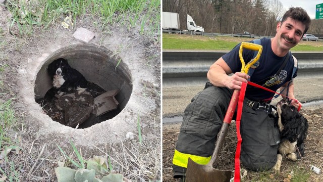 Massachusetts firefighters battle I-91 car fire, then find a dog missing for 34 days in storm drain