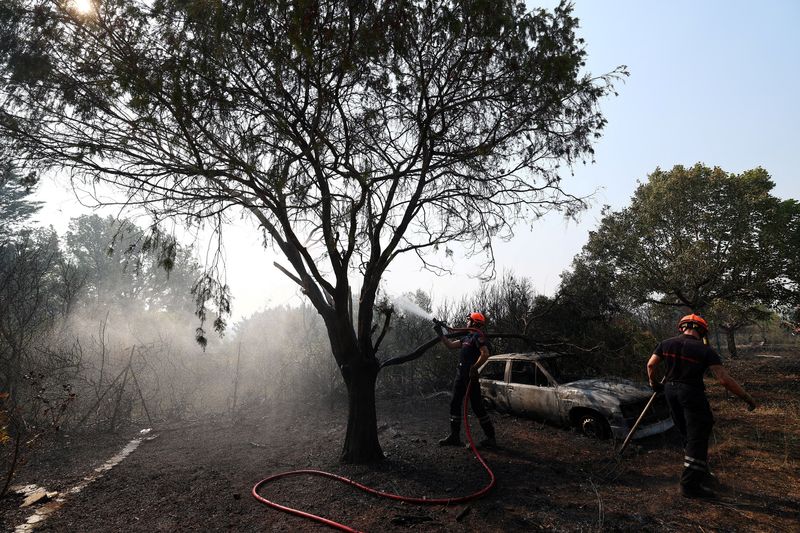 Spain, France battle wildfires as heat grips southern Europe
