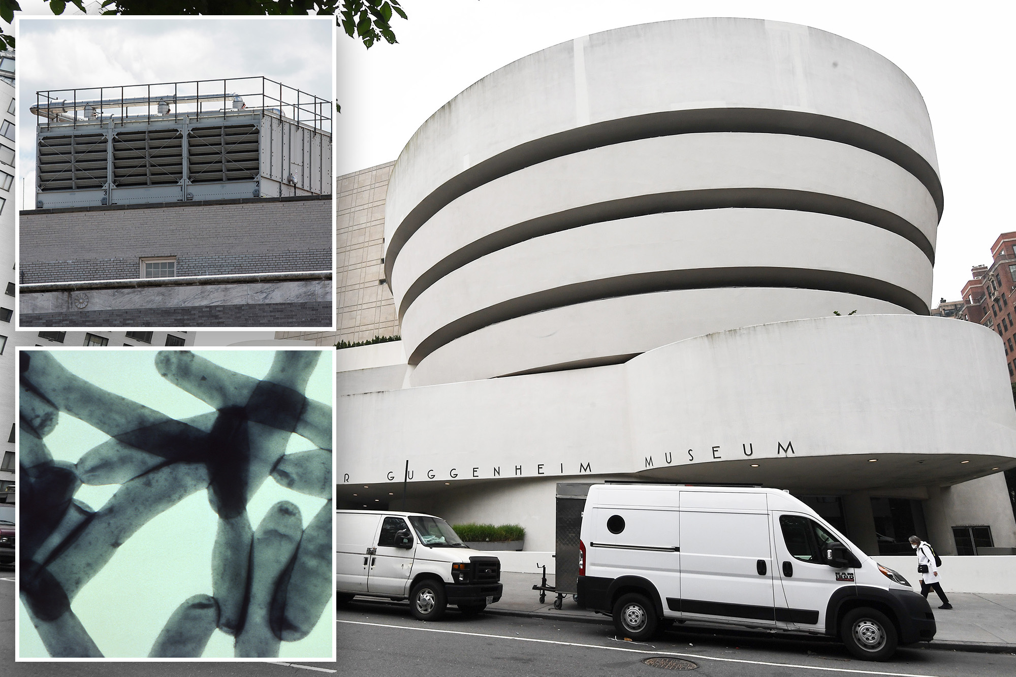 Fifth person dies in Legionnaires’ disease outbreak in NYC
