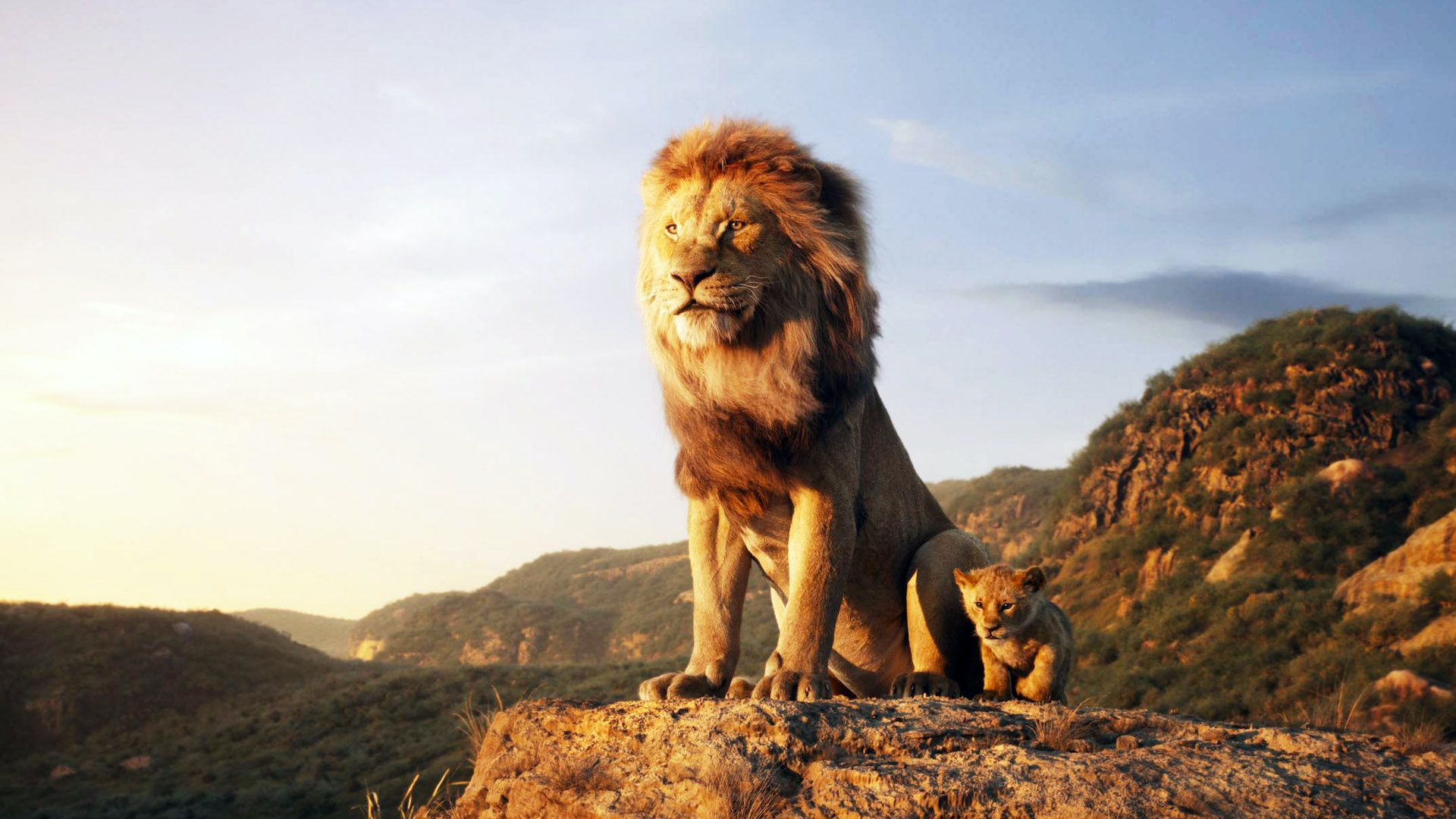 Jon Favreau’s new lion series releases on Hulu next month after $1.6 billion Lion King remake