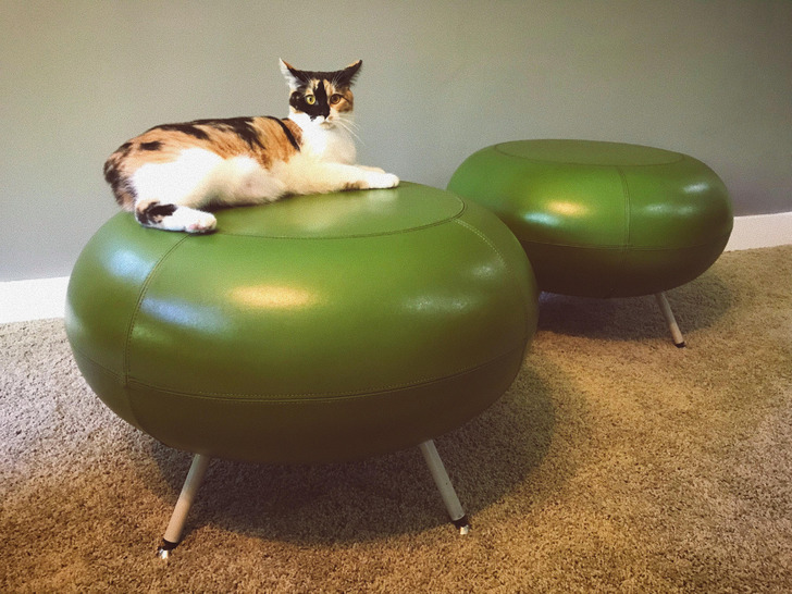 14 People Whose Flea Market Finds Brought Back Grandma’s Retro Style