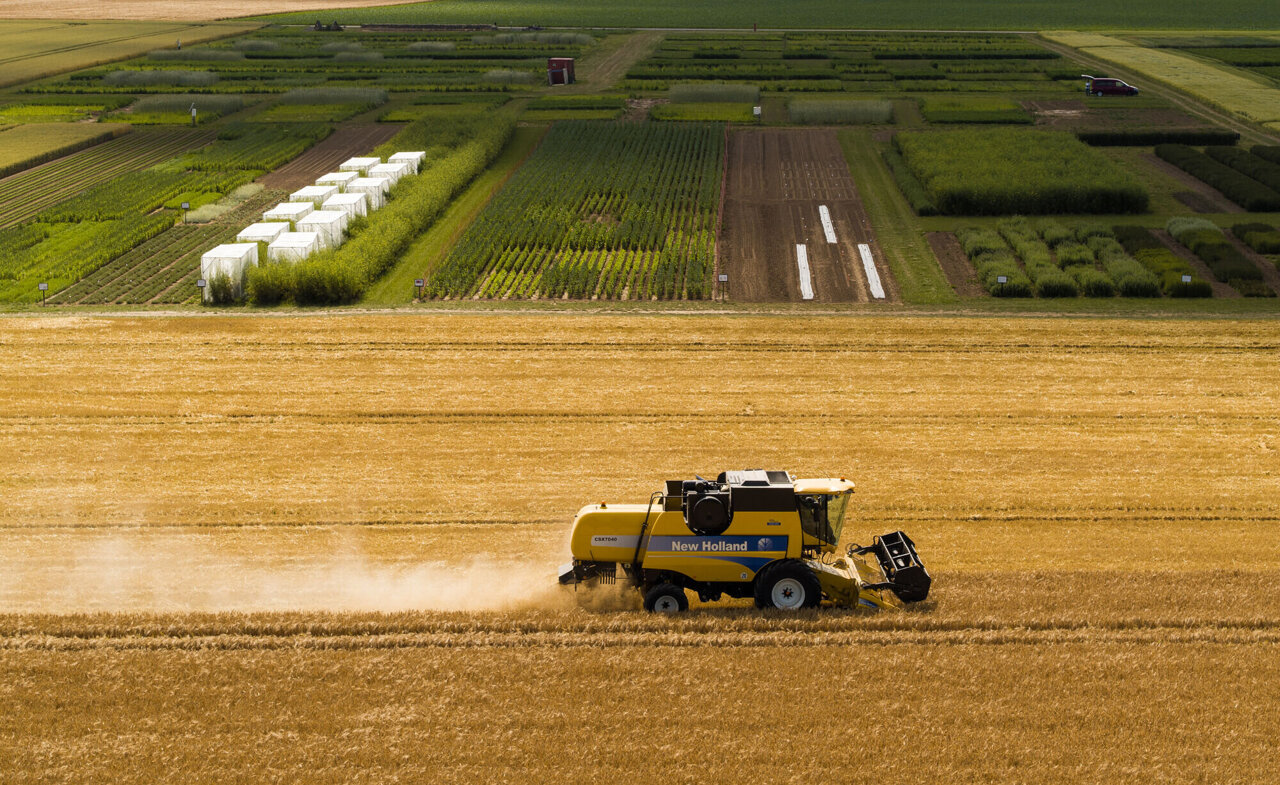 Reversing soil degradation by 10% could feed 70 million more, global analysis finds