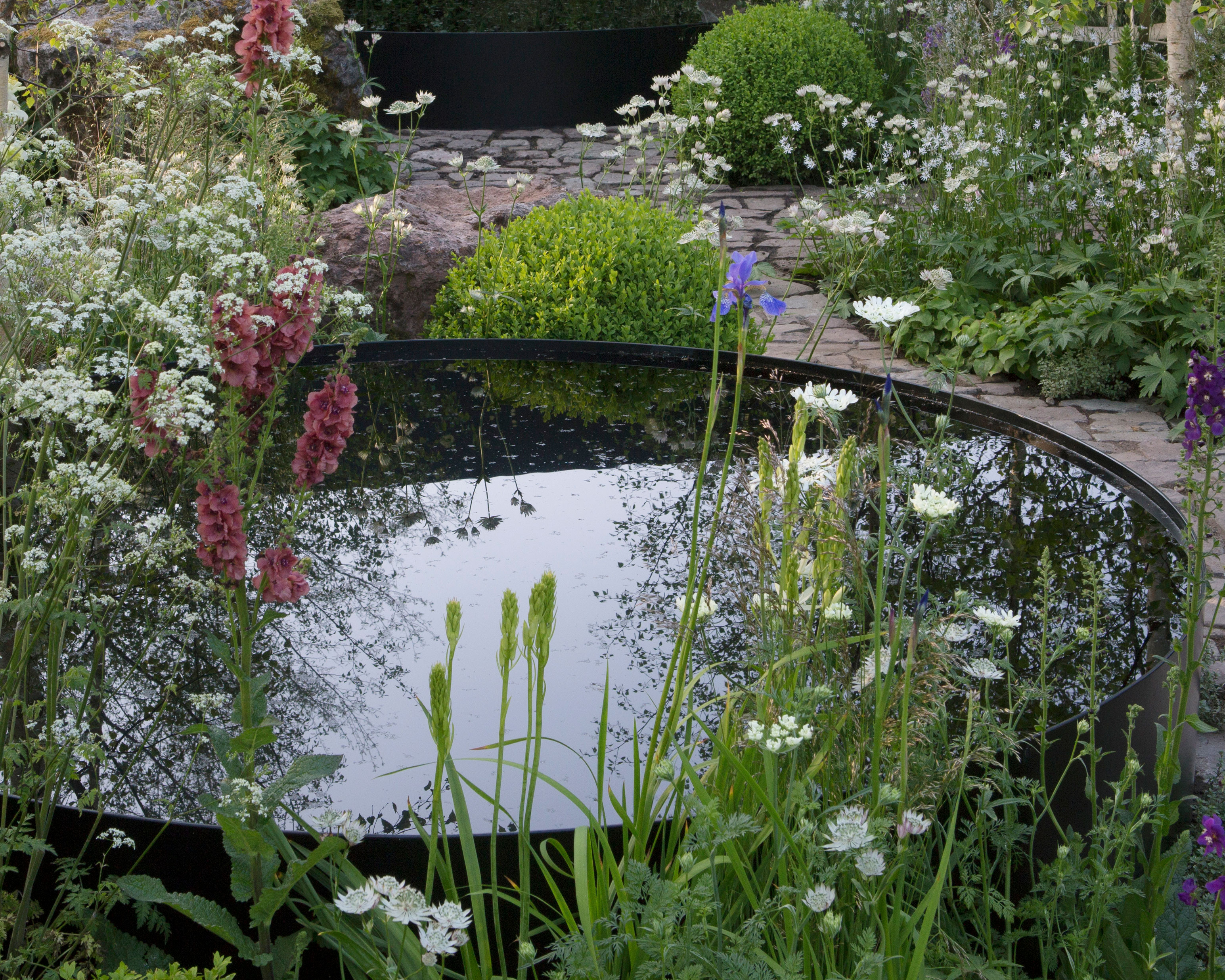 Wide and shallow metal dish used as a water bowl feature