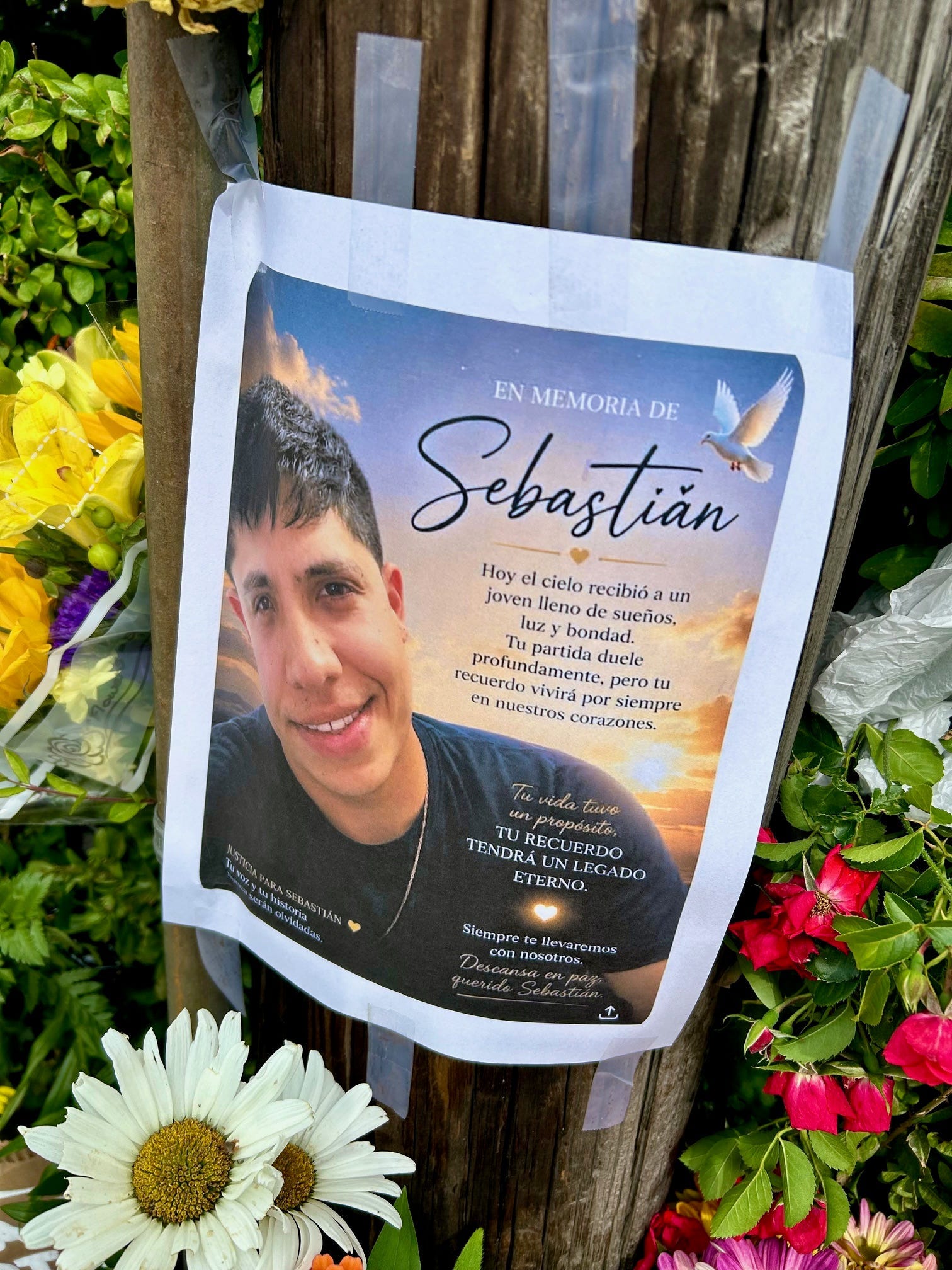 ICE killings show 'quieter' crackdown is just as deadly | Opinion