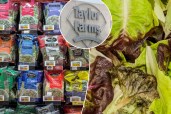 The foods least likely to get you sick — as ‘explosive diarrhea’ parasite, Listeria and E. coli infiltrate food supply