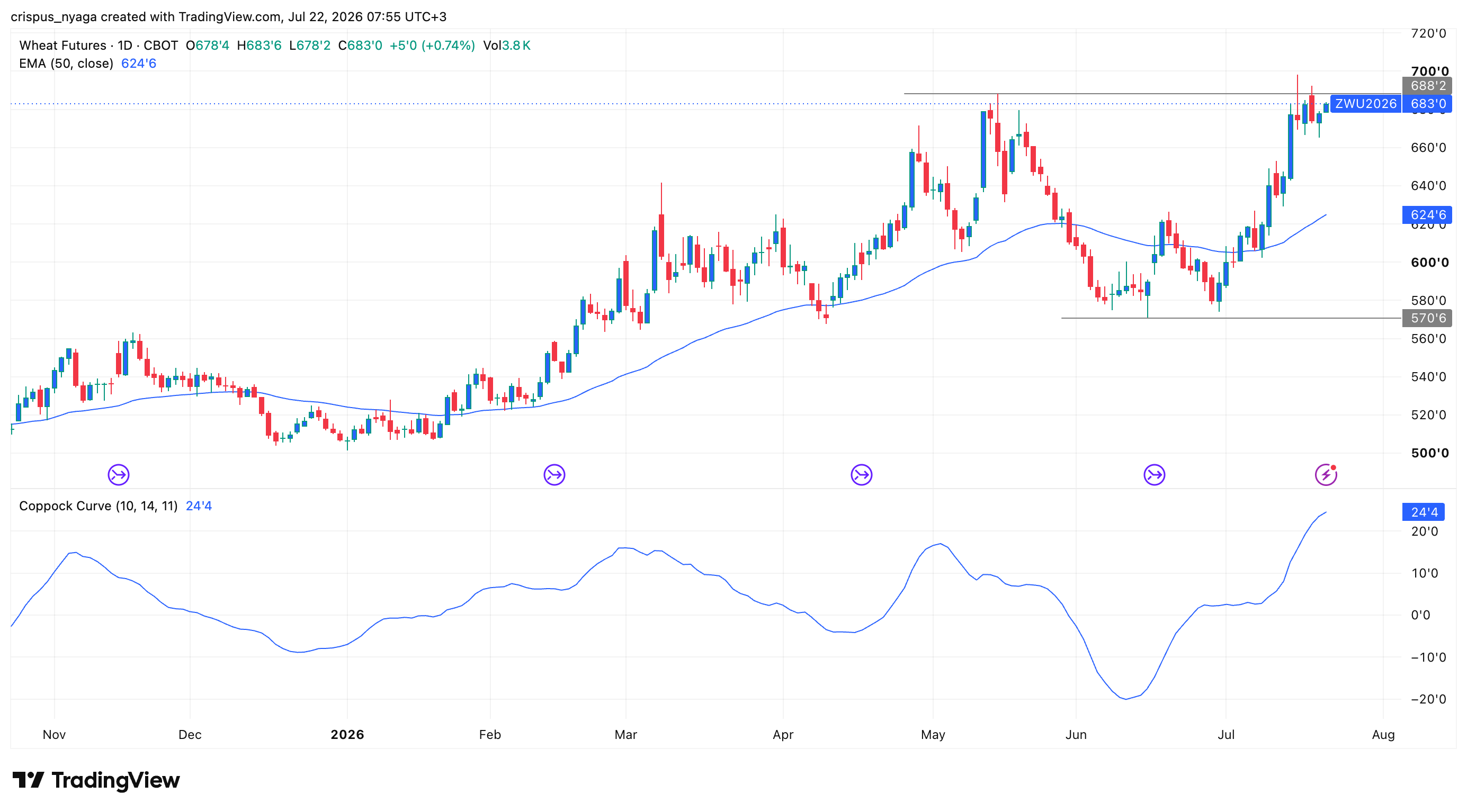 Here’s why wheat prices are soaring this year