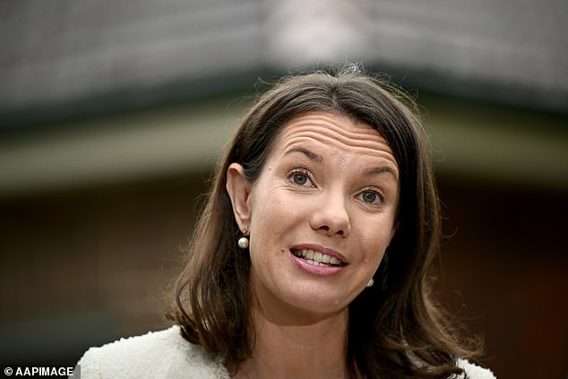 NSW Housing and Homelessness Minister Rose Jackson (pictured) said authorities were facing a 'difficult situation' with recent outreach attempts to help the tenant rejected