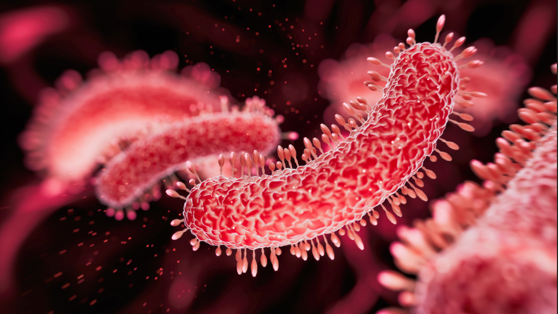 Woman, 91, died of Legionnaires', inquest told