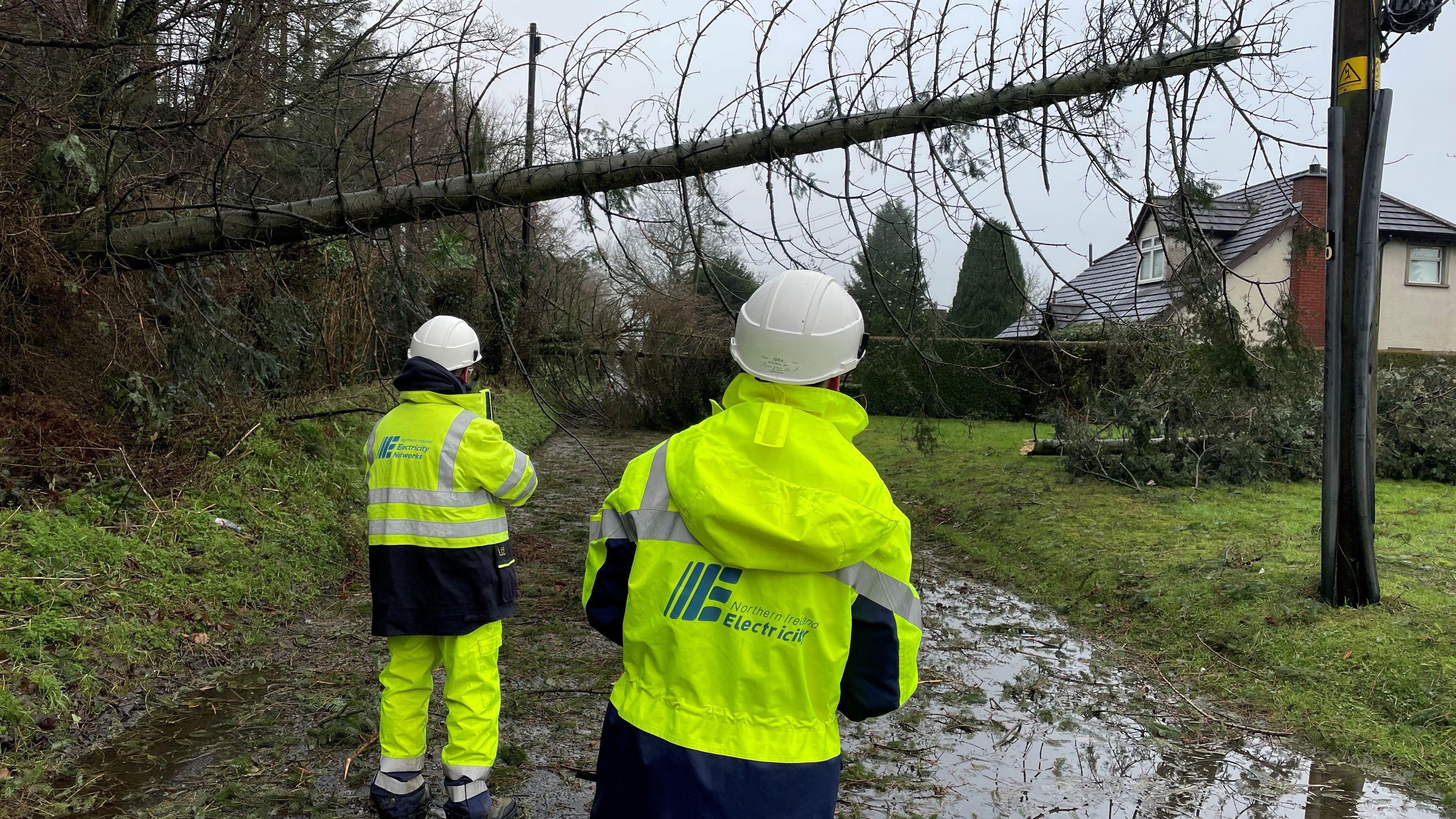 Minister to bring forward storm compensation law