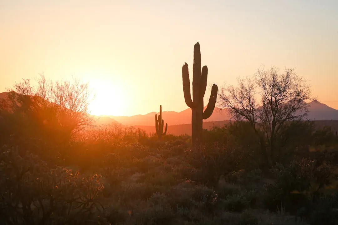 1. Phoenix, Arizona (Image Credits: Unsplash)