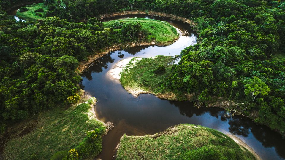 The Mata Atlântica once blanketed nearly the entire Brazilian coast. Now it covers roughly 7% of its original range. São Paulo state protects roughly 47% of its remaining Atlantic Forest under some form of conservation status. - FG Trade/E+/Getty Images