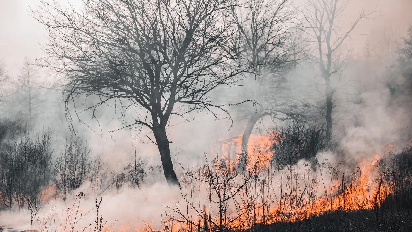 The most wildfire-prone county is not in California – here's where it actually is