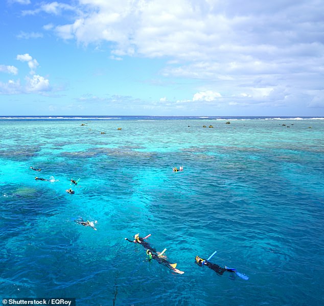 Skipper Tony Ritter denied using the phrase, 'I just don't give a f***, let them die', telling the commission he took safety seriously after an incident in 2024