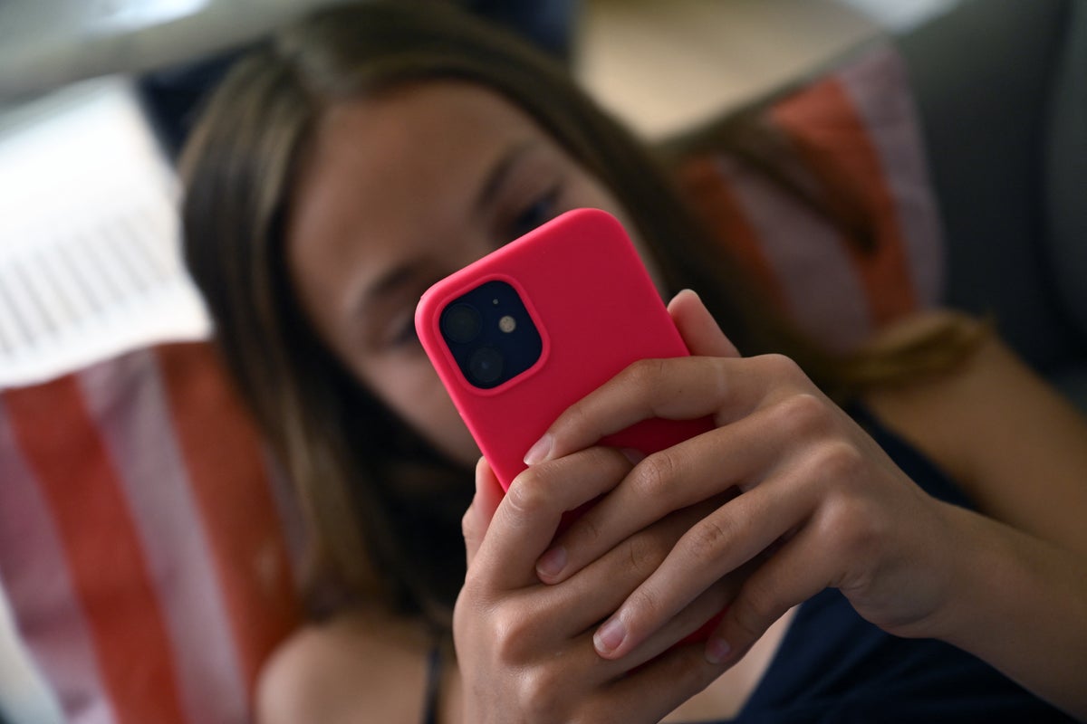 The countries set to follow France in banning social media for kids