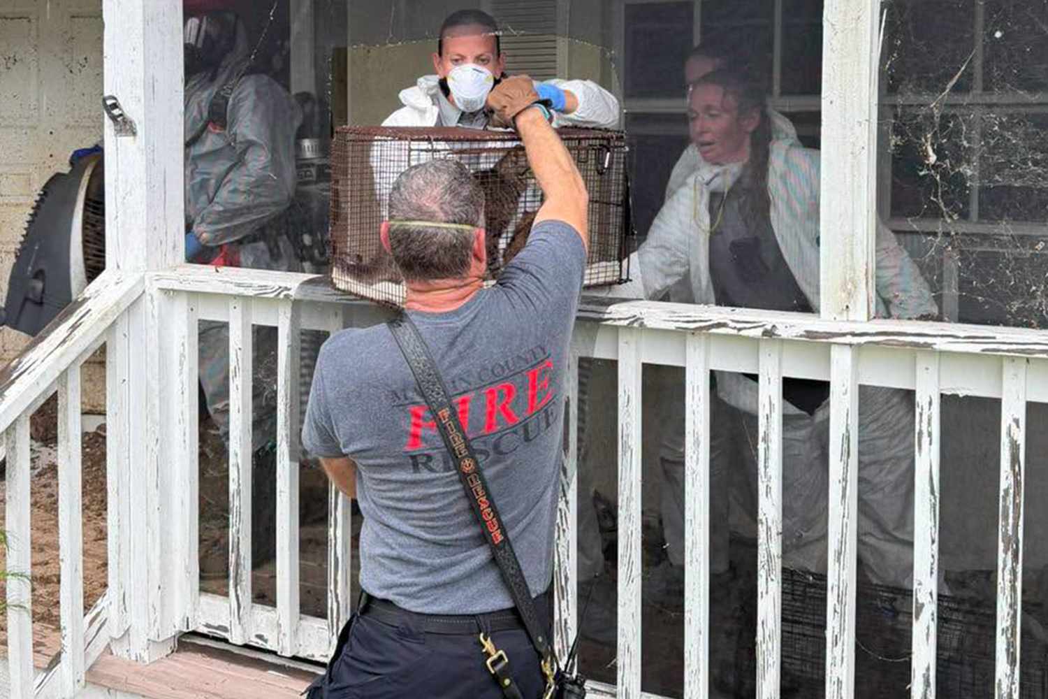 At least 70 cats and dogs found living in 'horrific' conditions at home of Florida postal worker