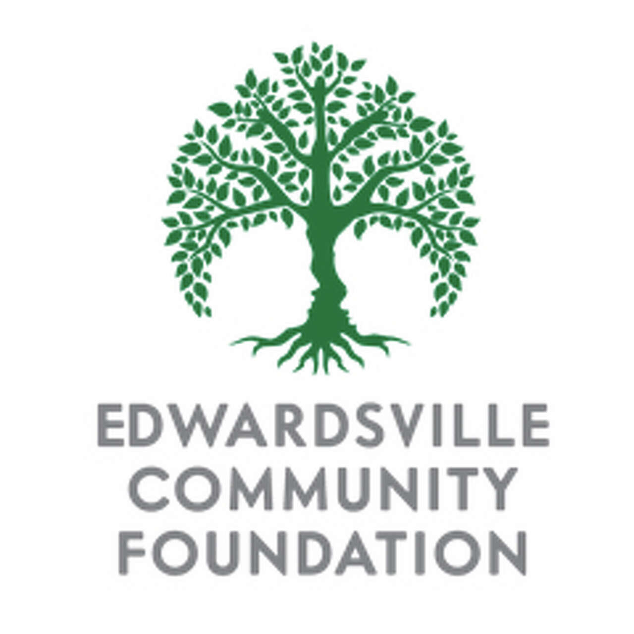 Edwardsville library creates fund to expand children's literacy programs