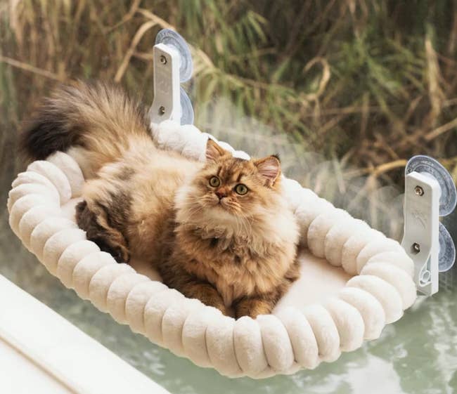 Fluffy cat lounging on a wall-mounted plush perch by a window with a nature view