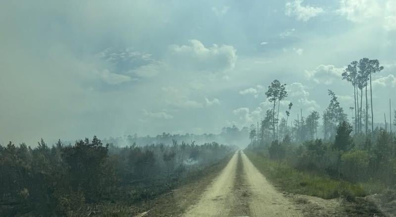 While the Francis Marion wildfire keeps spreading, so does containment. What does that mean?
