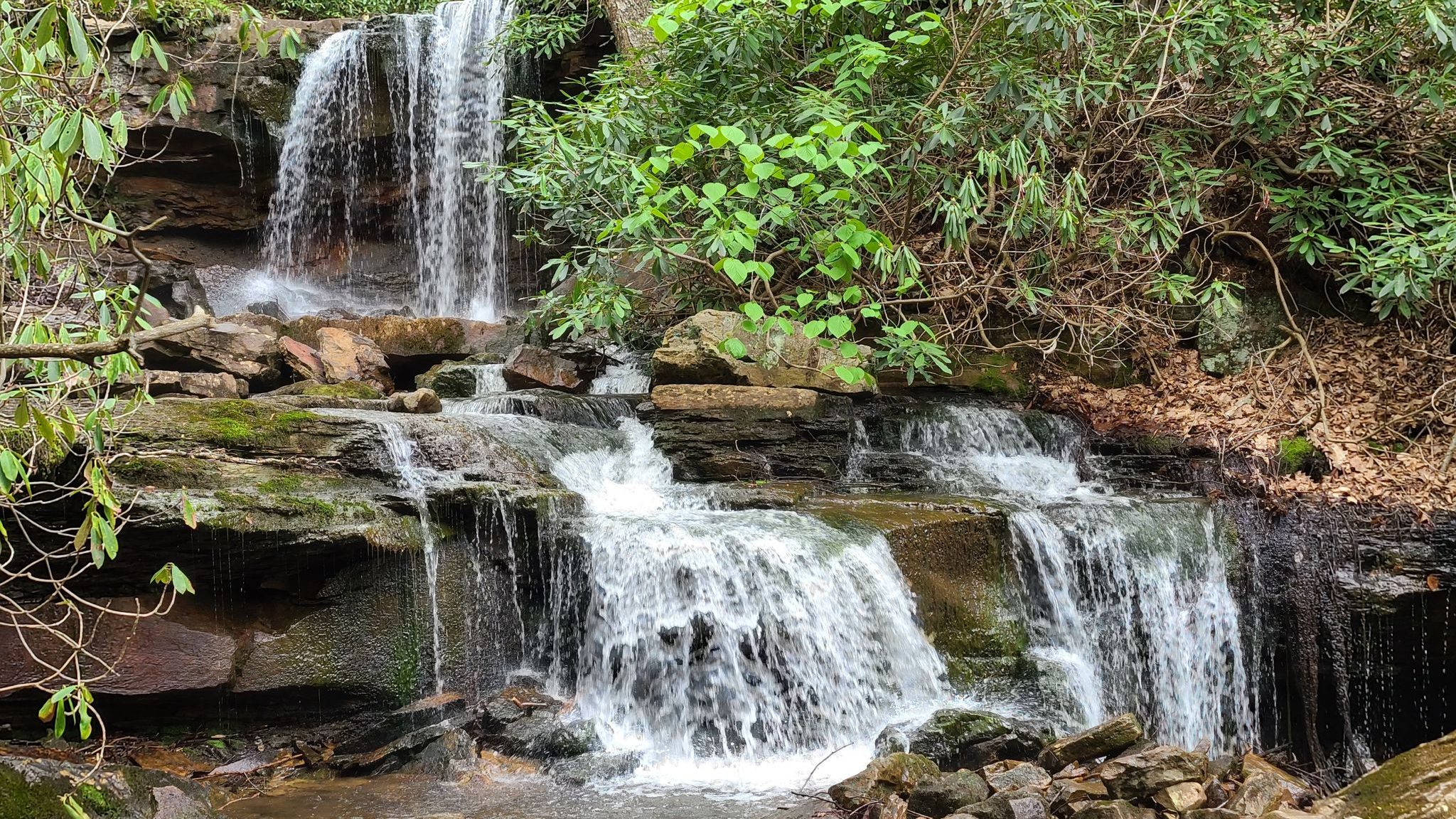 A multi-tiered waterfall inside Forbes State Forest in PA, surrounded by green leaves and rocks.