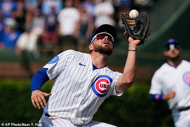 The Cubs say they encourage all fans to stand for the anthem but they 'respect the rights of individuals to decide for themselves'