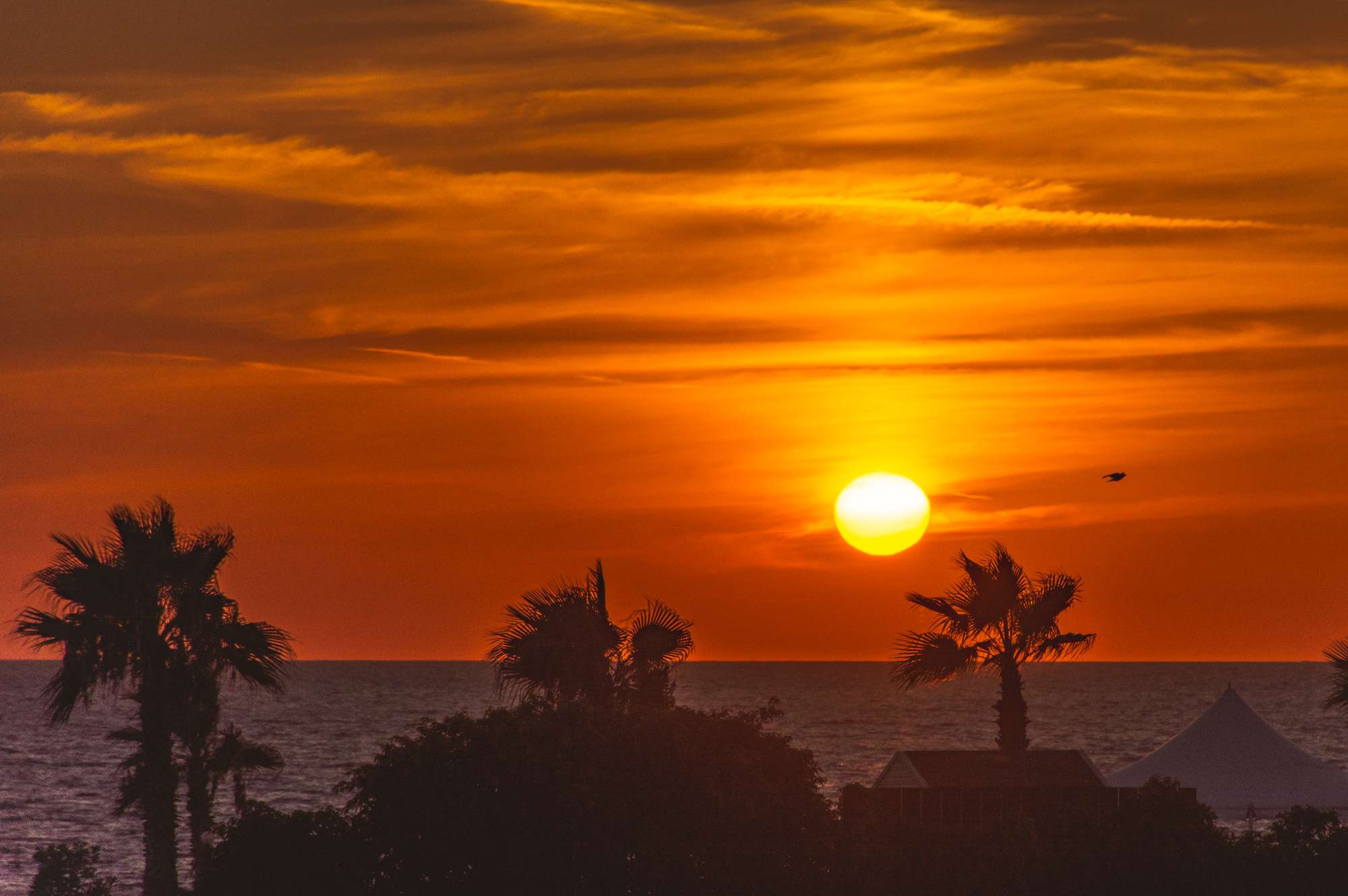 This coastal city was just named the world’s best place to watch the sunrise and sunset