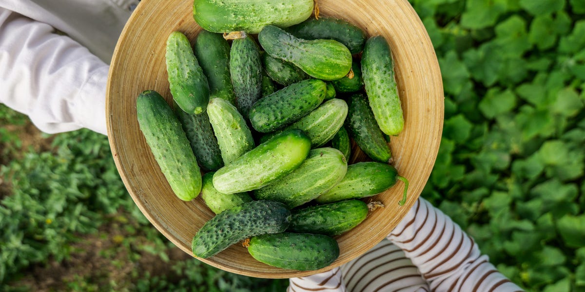 12 delicious ways to use cucumbers before they go bad