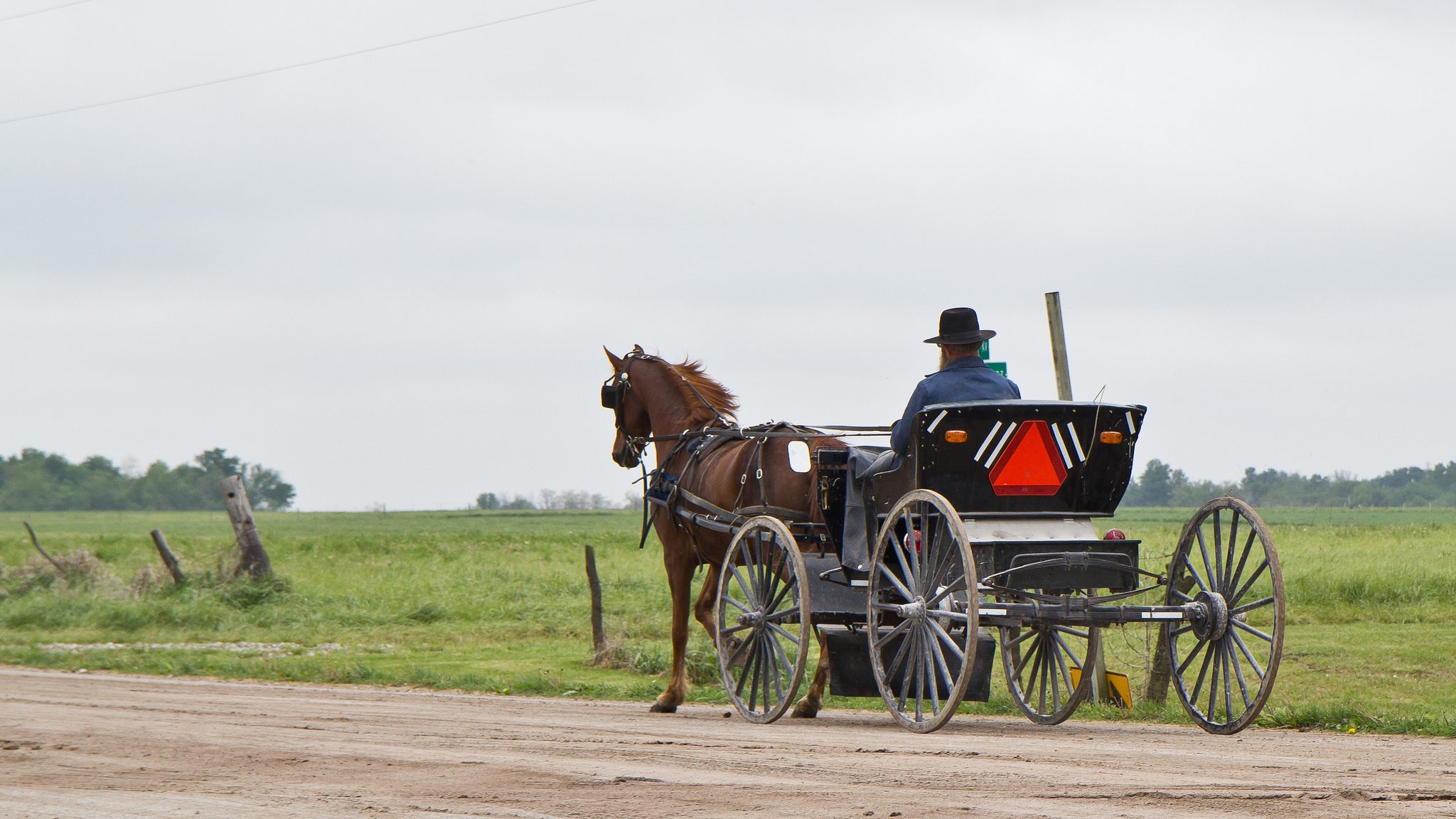 a man drives a horse-drawn buggy along the amish boulevard in hazleton iowa