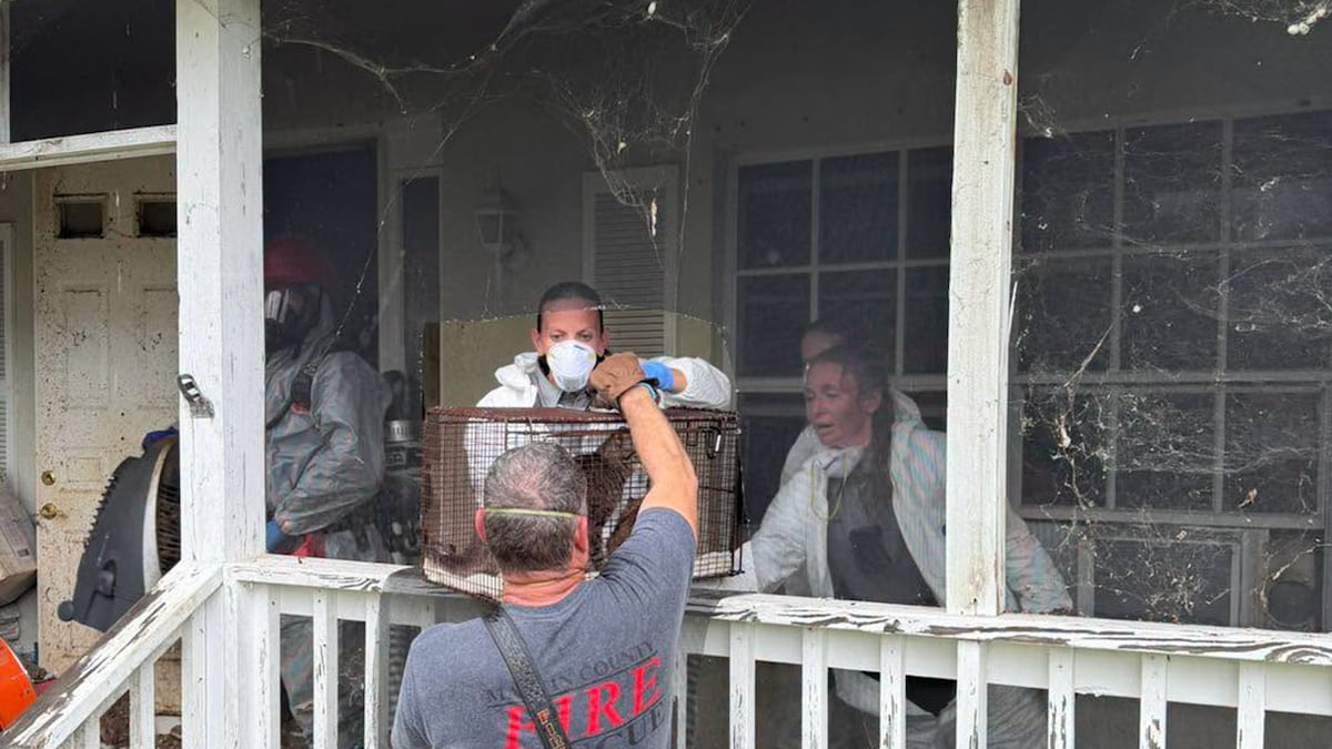Florida postal worker found hoarding nearly 100 pets in home with no AC, sheriff says