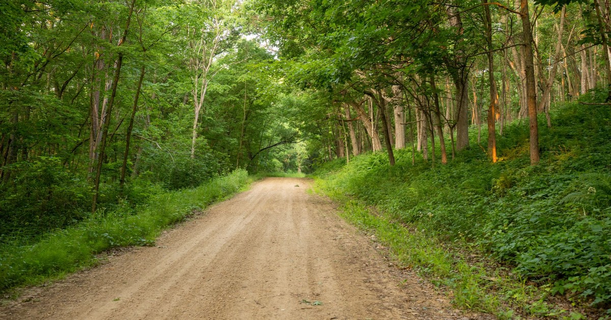 Explore the tranquil beauty of a dirt road through a vibrant forest in Trevino, Wisconsin.