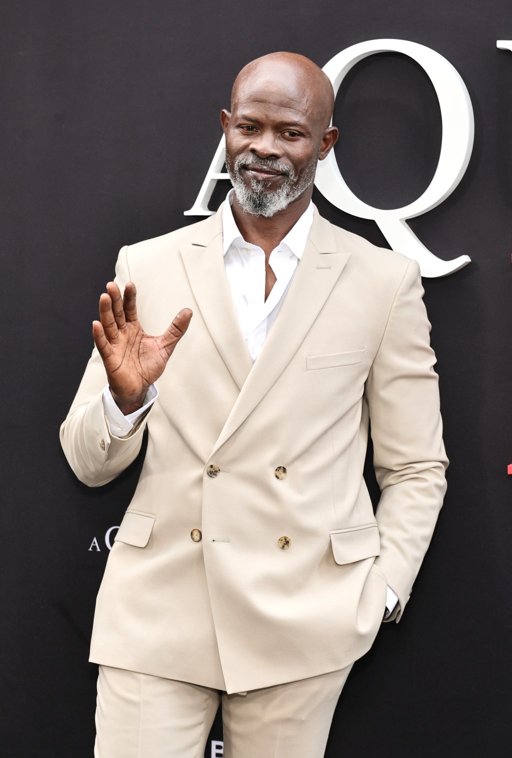 Djimon Hounsou at the