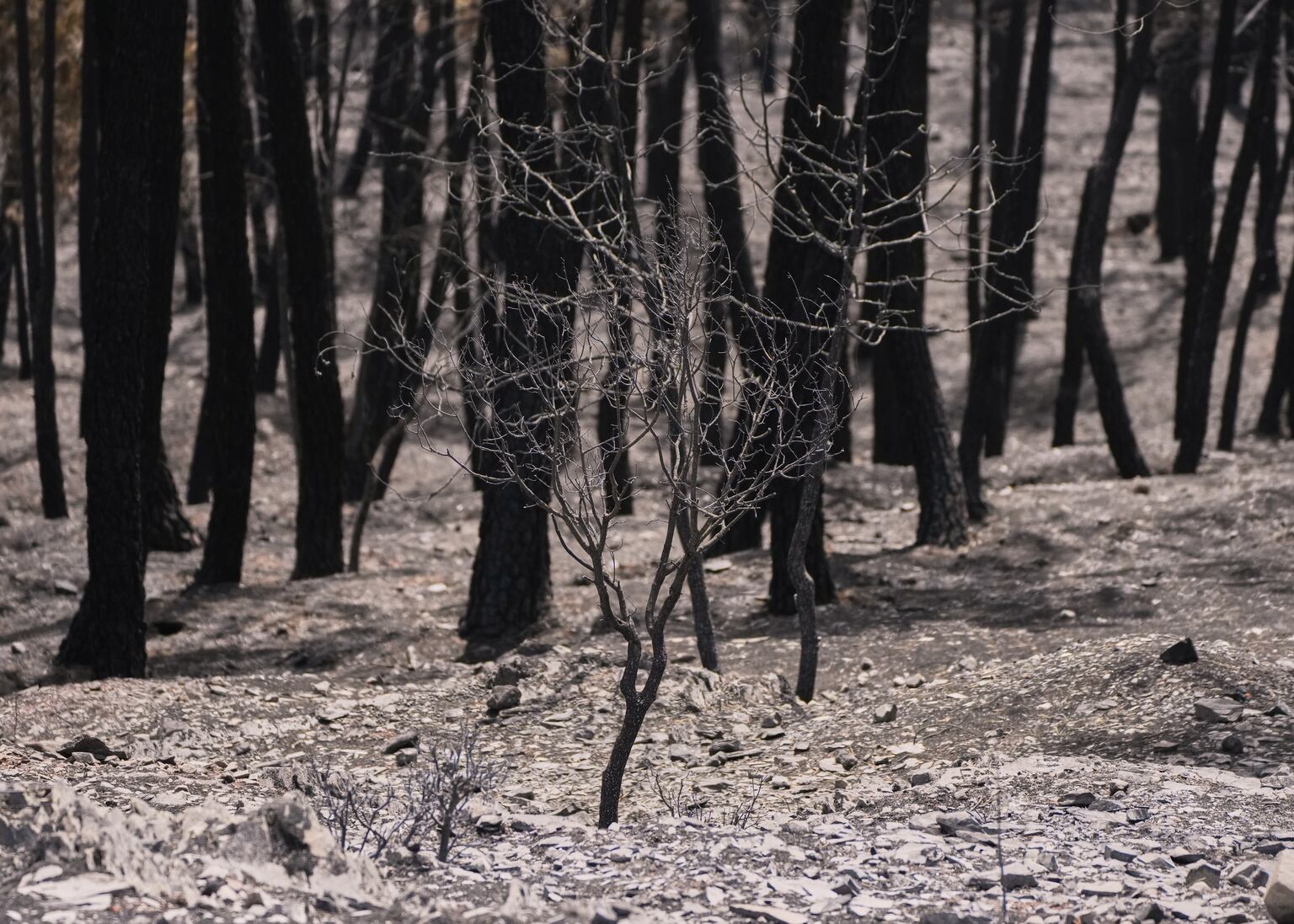 Firefighters in central Spain battle huge wildfire during heatwave