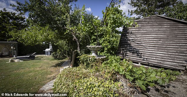 The McCarthys' otherwise immaculate garden has been without a proper boundary for six years