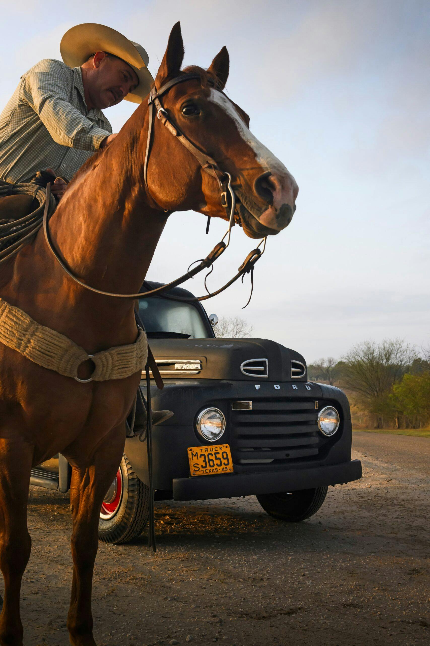 1949 Ford F-1 king ranch vertical