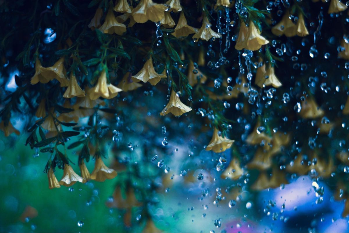 Weather: Isolated to scattered showers expected in South Africa