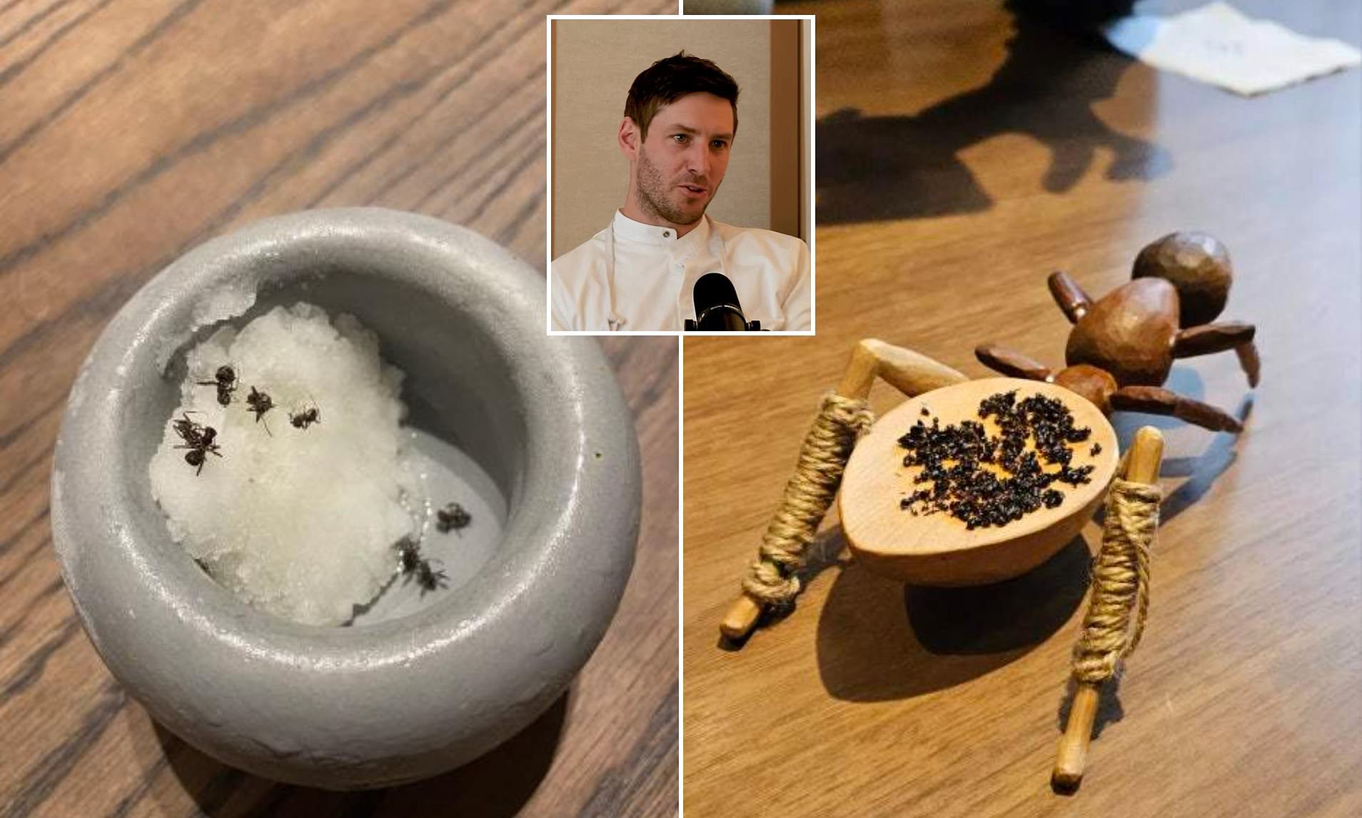 Michelin-starred chef faces jail for sprinkling dessert with ANTS