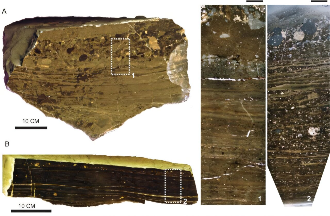 Storms that built a graveyard: Ancient monsoons created a spectacular dinosaur fossil site